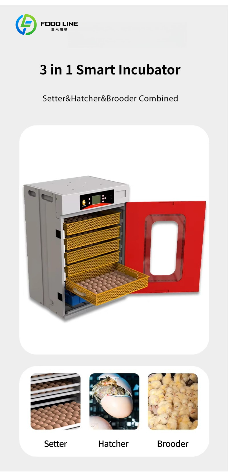 Nova Incubadora Industrial de  - Rotary Bakery Oven avaliação e preço